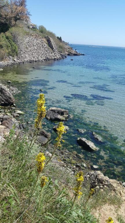 Apartments Provence Sozopol Buitenkant foto